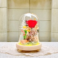 小王子/Le Petit Prince/美女與野獸/永生花/乾燥花/夜燈/玻璃盅