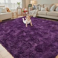 8x10 Area Rugs for Living Room Bedroom, Large Area Rug Shaggy Carpet Soft Plush Furry Bedside Rug, R