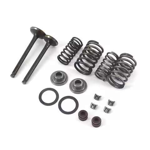 Cylinder Head Valve Rebuild Kit Intake Exhaust Springs Set For Honda 70cc-90cc 70CC CRF70F XL70 XR70