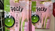 現貨 2024年 固力果 pocky 櫻花抹茶味