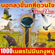 🐦1000 เมตรไม่มีนกงูหนู🐀เครื่องไล่นก บอกลาขี้นกที่กวนใจ ไล่นกพิราบ ไล่นก24ชม ที่ไล่นก เครื่องไล่นก solar กันฟ้าผ่าและกันฝน ไล่นกพิราบถาวร ในพื้นที่เกษตร ลานบ้าน สถานที่ท่องเที่ยว และบริเวณที่อยู่อาศัย นกเหยี่ยวไล่นก ไล่นก อัตโนมัติ เครื่องไล่นก ไฟ