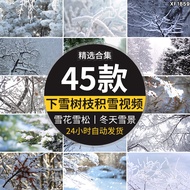 Winter Snow Winter Cedar Cedar Cedar Cedar Cedar Branch Centella Cedar Pressed Branch First Snow Air