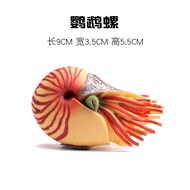 Simulation Ancient Prehistoric Marine Life Animal Toys Children's Solid Parrot Snail Big-Eyed Fish A