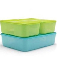 Tupperware Freezermate set - tupperware Frozen Food Container