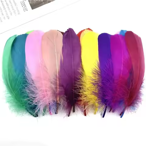 Colored White Goose Nagoire Loose Feather 5-7"/13-18cm Geese Feathers for Crafts Dream Catcher Weddi
