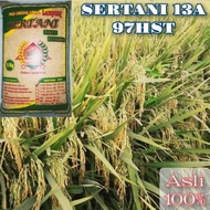 BIBIT BENIH PADI UNGGUL MSP SERTANI 13A ,MALAY PANJANG 5KG ORIGINAL