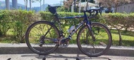 Colnago C60 公路車