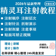 Elf Ear Tutorial Injection Injection Injection Injection Agent Light Medical Beauty Face Ear Correct