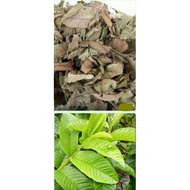 Fresh Guava Leaves/Dried Guava Leaves