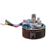 TY3816B 37.4mm Brushless Motor DC12V 4250 RPM Large Torque Strong Forward and Reverse Mini DC Motor 