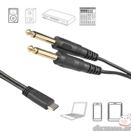 ELEGA USB C to 6 35mm 6 5mm Cable Type C to Double Single 1 4Inch Connector Wire Line Quality Sound 