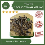 Di Long Tilung Cacing Tanah Kering Obat Tipes Demam Tifus 35 Gram .