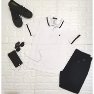 Men Polo Shirt Pure Cotton(Giordano)