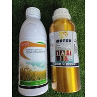 Set combo MATCH thai - AKARA racun kulat