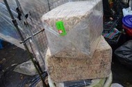 智利水草 5kg   免運費 (3860)
