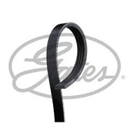 Air Cond Belt NISSAN SUNNY B13 NV GA16S 1.6 PRIMERA P10 P11 SERENA C24 SR20 2.0 GATES