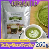 Barley grass official store Organic Barley Grass Powder original 250g  Organic Barley Low Carb Diabetic Friendly e for weight loss