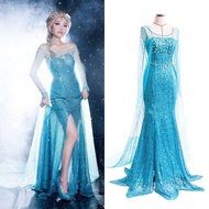 Princess Elsa cosplay Costume Dress Adult Adult Clothes Elsa Anna Frozen Halloween