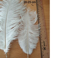 REPLIKA Super feather Ostrich feather Replica 30-35 cm