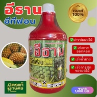 อีธาน อีทีฟอน สารบ่มผลไม้ เร่งการออกดอก เร่งน้ำยาง บ่มผลไม้ สารเร่งน้ำยาง สารเร่งสุก สารเร่งดอก หวีท