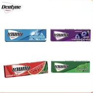 Dentyne Chewing Gum [12.5g×1pcs] Spearmint Mentholyptus Blueberry Watermelon Flavoured Halal
