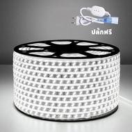 ไฟท่อ ไฟเส้นสายยางกันน้ำ ไฟLED 220V รุ่นใหม่ 5730 120เม็ด/เมตร 3/5/10เมตร แสงวอร์มไวท์/ขาว พร้อมปลั๊