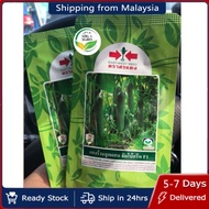 New Pack 50g Benih Timun Batang Cap Panah Merah F1 Hibrid / Jumbo Green F1 Hibrid / East West Seed