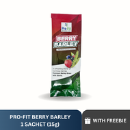 Trial pack 1 sachet Profit Berry Barley - Original Premium Barley Drink. Barley Grass Powder with Stevia anti aging helps boost immunity to prevent virus green BARLEY Juice Drink | herbal and pure organic green barley powder juice drink