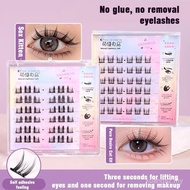Bulu Mata Palsu Bunian Kucing SelfAdhesive Enam Baris Kelompok Tunggal Tanpa Gam untuk B6O9 Tanpa Ca