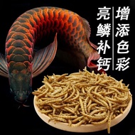 New Arowana Special Feed Golden Arowana Silver Arowana Feed Floating Fish Food Barley Worm Dried Mea