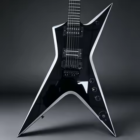 Custom Washburn Dimebag Electric Guitar HH Pickups With Floyd Rose Tremolo Electric Guitar-Themed Gi