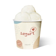 [LOCAL] Sogurt Froyo Ice Cream Natural Pint (473ml) - Made with Coconut Oil, Contains Probiotics &amp; Prebiotics, Halal