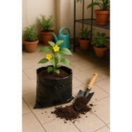 POLY BAG WITH HOLE . "Poly Bag Berkualiti Tinggi – Sesuai untuk Tanaman Hiasan & Sayur-Sayuran"