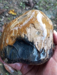 FOSIL KELOR LAUT SUPER KRISTAL SAKRAL