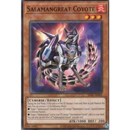Yugioh Card - SDSS-AE009 - Salamangreat Coyote