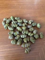 霍山鐵皮石斛