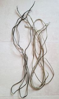 Hi-Fi 喇叭線兩對