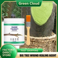 OUHOE Tree Wound Sealer Plant Tree Wound Cut Paste Grafting Pruning Sealer Big Tree Wound Healing Agent Tree Repair Ointment Tool Tree Wound Healing Agent Plant Smearing Agent Seedling Fruit Tree Callus Paste Coating To Help Root 100g+ brush