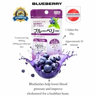Daiso Japan Blueberry Supplement for Eye Support & Clear Vision