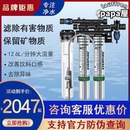 愛惠浦淨水器twin雙聯mc2 奶茶店咖啡製冰機 商用過濾直飲機