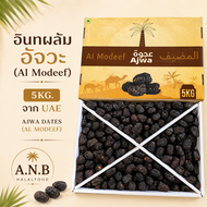 อินทผลัมอัจวะ (Al Modeef) 5 กก. Ajwa Dates (Al Modeef) Premium Grade จาก UAE ขายส่ง ยกลัง สำหรับร้าน