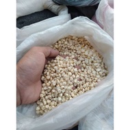 JAGUNG PUTIH KETAN/PULUT 1KG