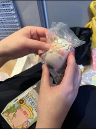 💰450「全網最低價」lulu豬 罐頭豬LULU春日露營 豬你漂漂換向日葵