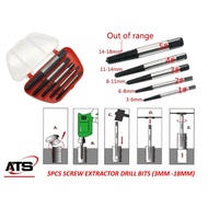 5pcs Broken Damaged Screw Extractor Remover Screw Extractor Set