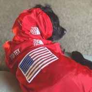 Red flag dog jacket | Dog apparel Dog clothes/