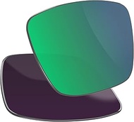 Polarized Replacement Lenses for Costa Del Mar Rinconcito 06S9016 Sunglasses