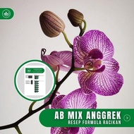 Resep Ab Mix Anggrek Formula Racikan Nutrisi Ab Mix Bunga Anggrek