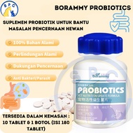 Probiotic Cat Dog Vitamin Digestive Tablets Probiotic Dogs Digestive Problems To Draw, Bleeding Pup And Intestinal Inflammation Intestine Infection