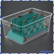 [AmlesoaeMY] Reptile Food Cup Organizer Gecko Ventilated Bearded Dragon Accessories