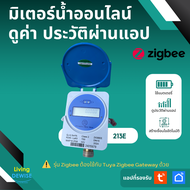 Tuya เซ็นเซอร์วัดปริมาณการใช้น้ำ Zigbee เชื่อมเข้าแอป ดูประวัติการใช้น้ำได้ผ่านแอป-Water Flow Meter